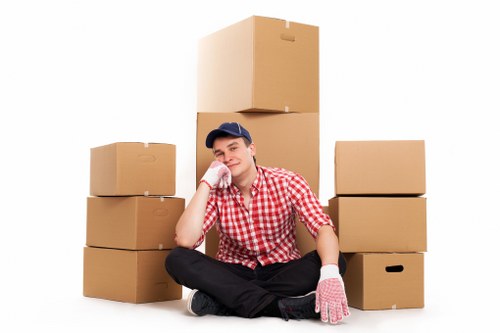 Organised family storage space in Sutton
